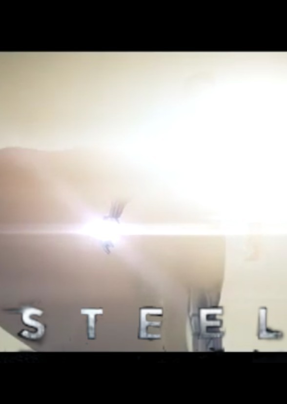 Steel
