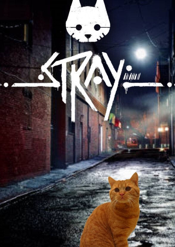 Stray