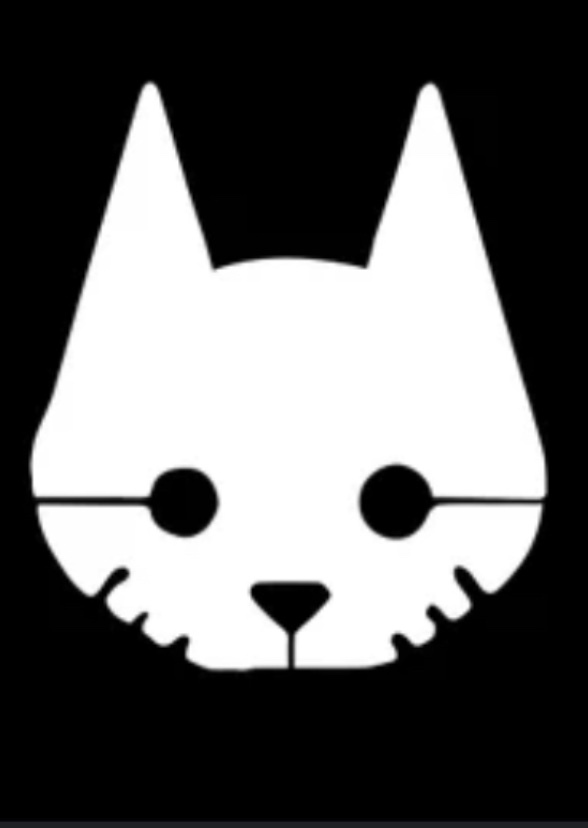 Stray (film)