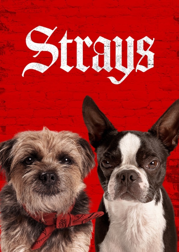 Strays (2013)
