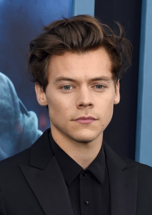 Styles (Biopic)