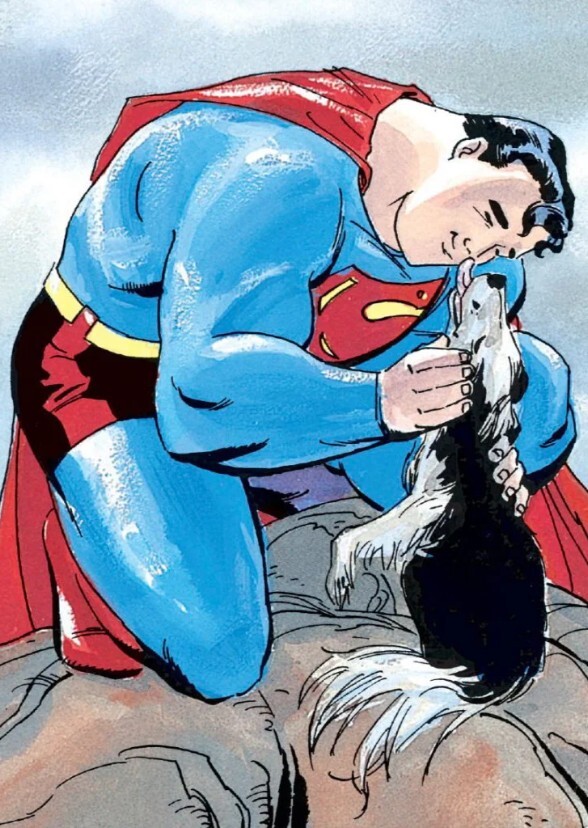 Superman: For All Seasons