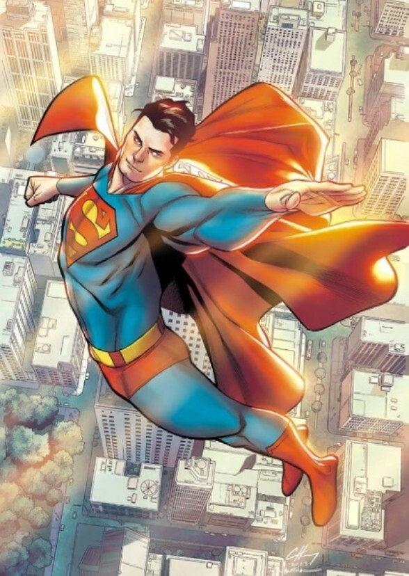 Superman : Son of Krypton (2008)