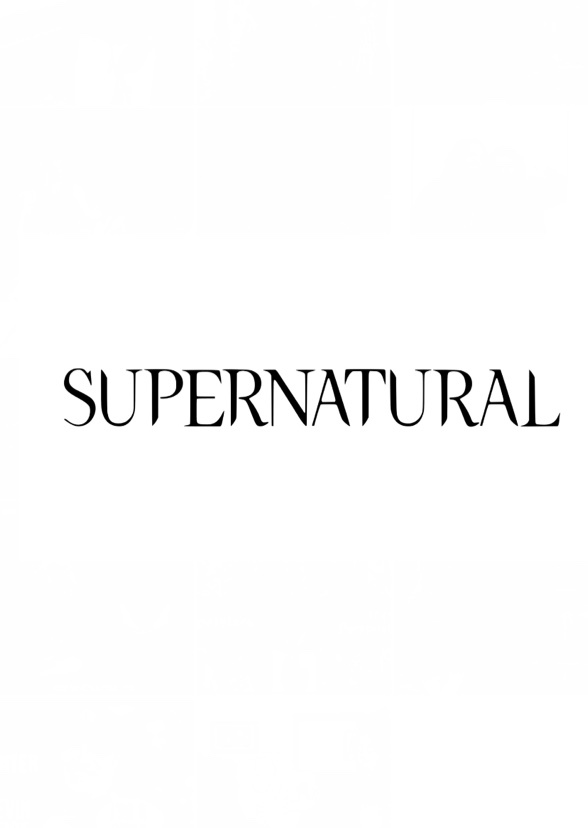 Supernatural: The Game