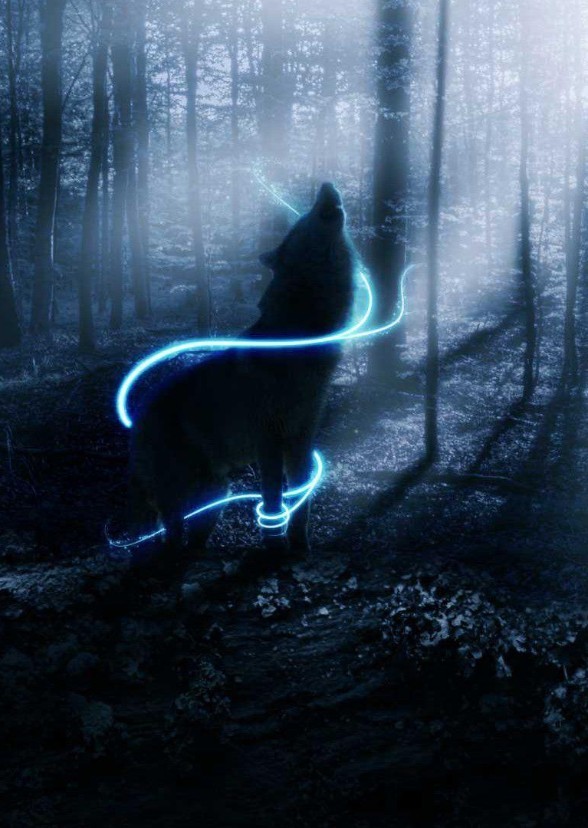 Teen wolf Indian Version