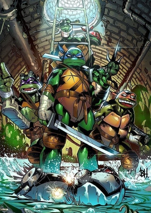 Teenage Mutant Ninja Turtle (My Choices)