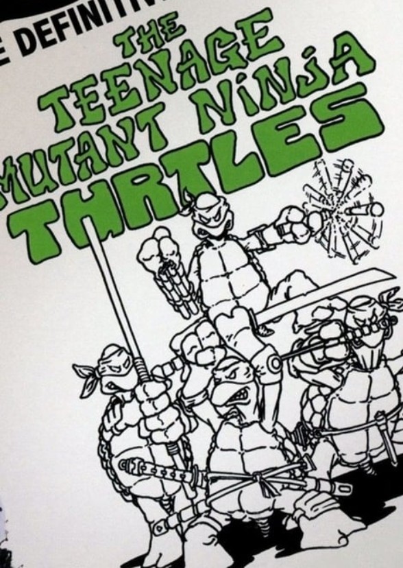 TEENAGE MUTANT NINJA TURTLES PRESCHOOL ANIMATED SERIES IN visual data 7