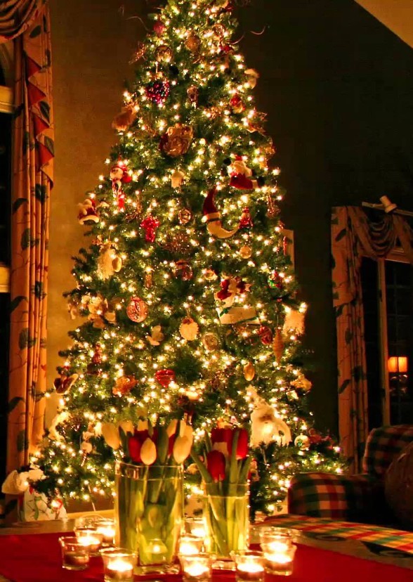 Ten Holidays of Christmas