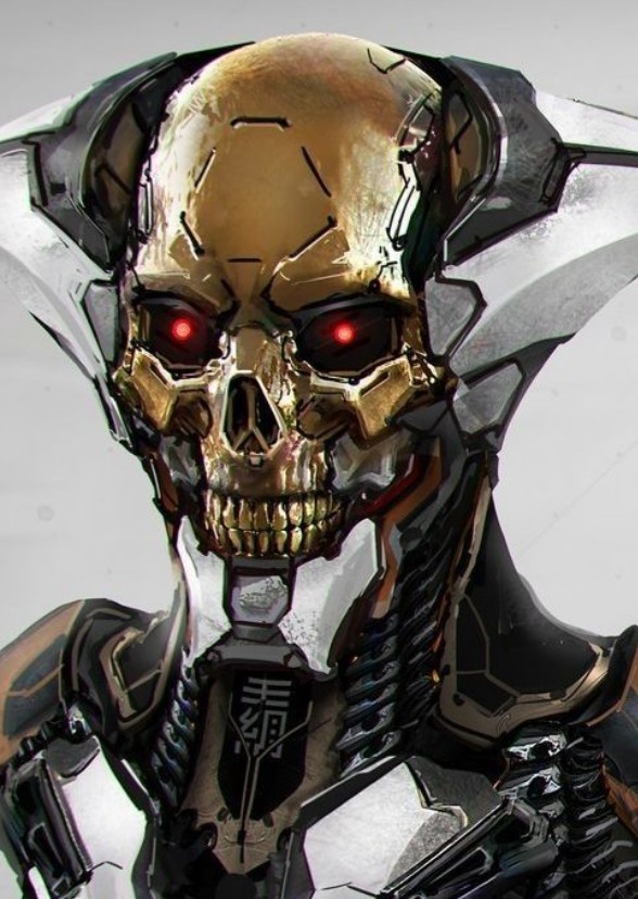 TERMINATOR FINAL FATE