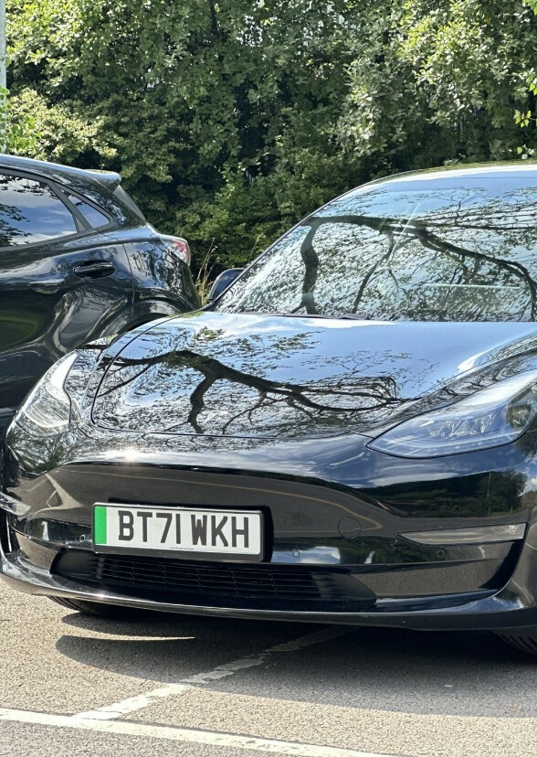 Tesla:Banning Addison Holley And Her Uncle