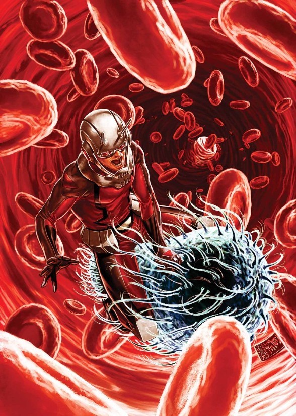 The Adventures Of Ant-Man