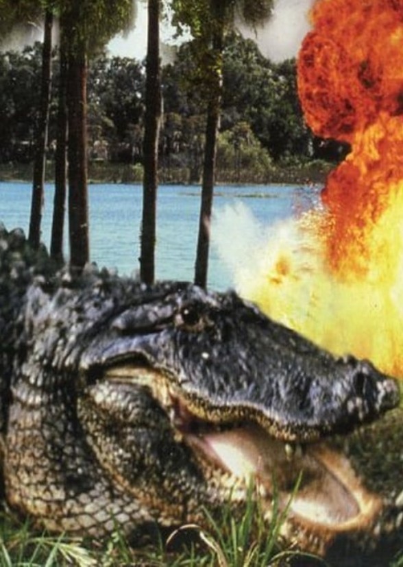 The Alligator Playz show