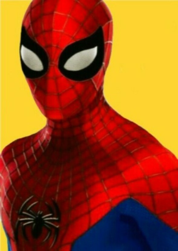 The Amazing Spider-Man (Webbverse)
