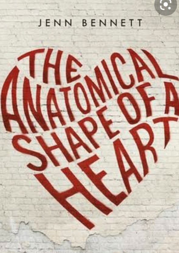 The Anatomical Shape of a Heart