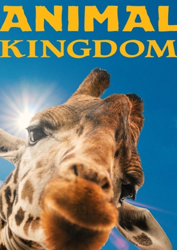 The Animal Kingdom 