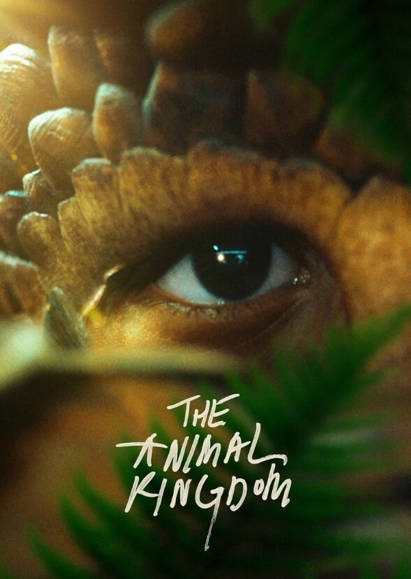 THE ANIMAL KINGDOM 