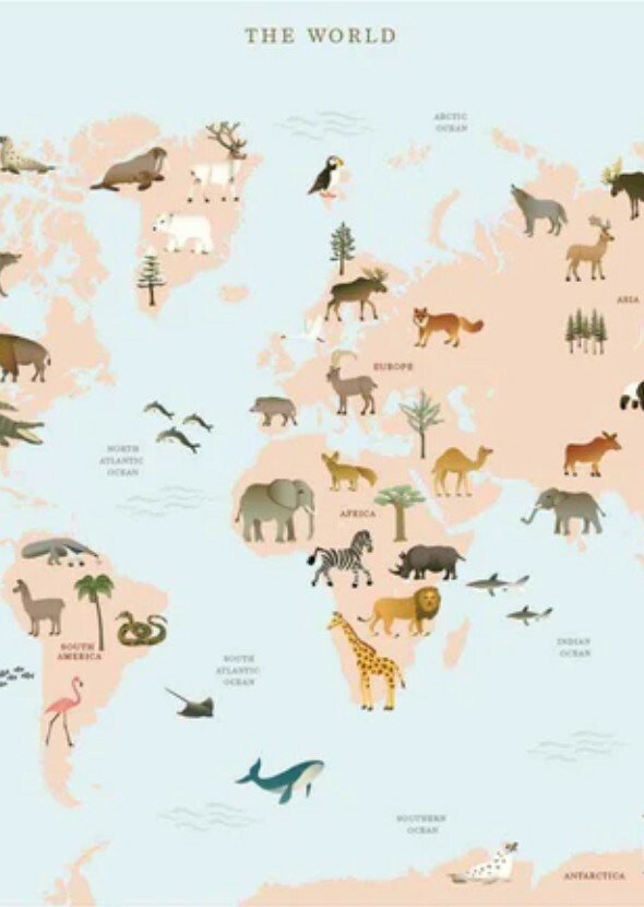 The Animal Voices