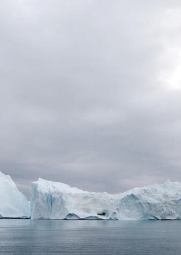 The Arctic Animal Show