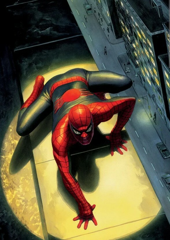 The friendly neighborhood spider-man 