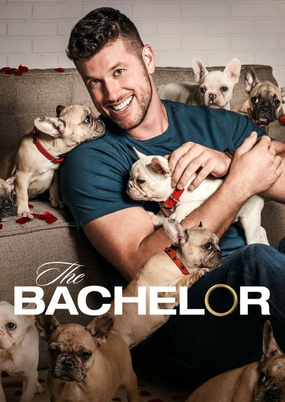 The Bachelor