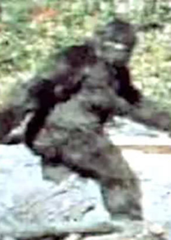The Ballad Of Paranormality live action tv show