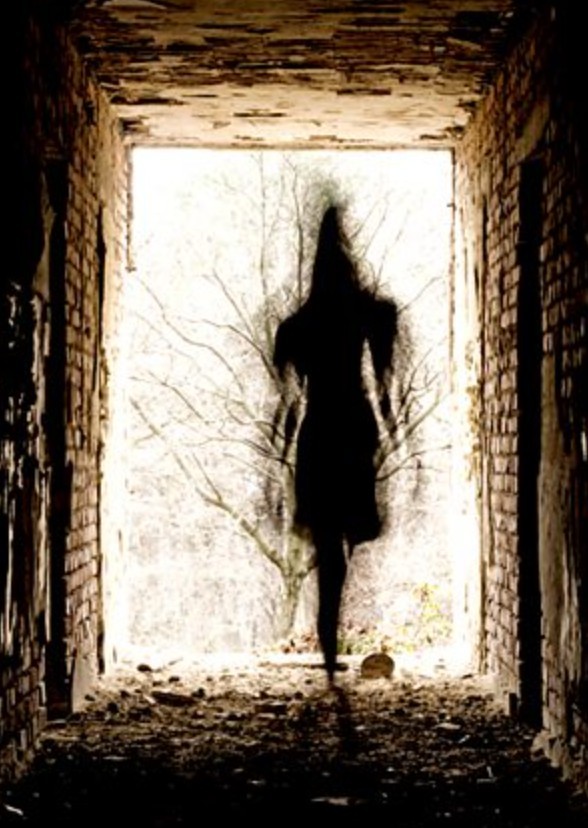 The Ballad Of Paranormality Presents: The Cryptid Crew