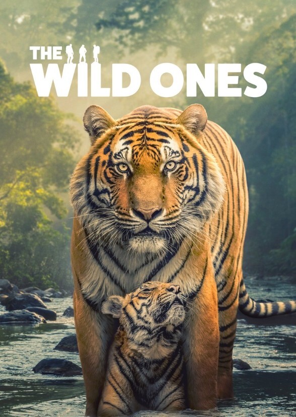 The Best of Animal Planet