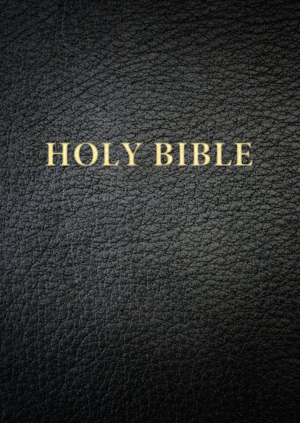 THE BIBLE STORY