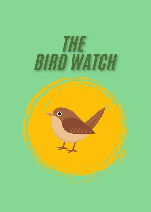 The Bird Watch 