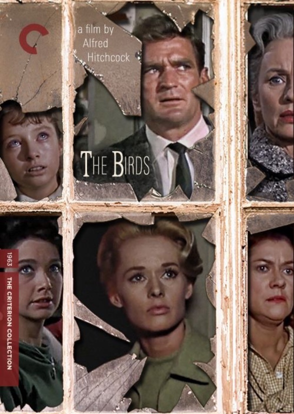 'The Birds' (2023)