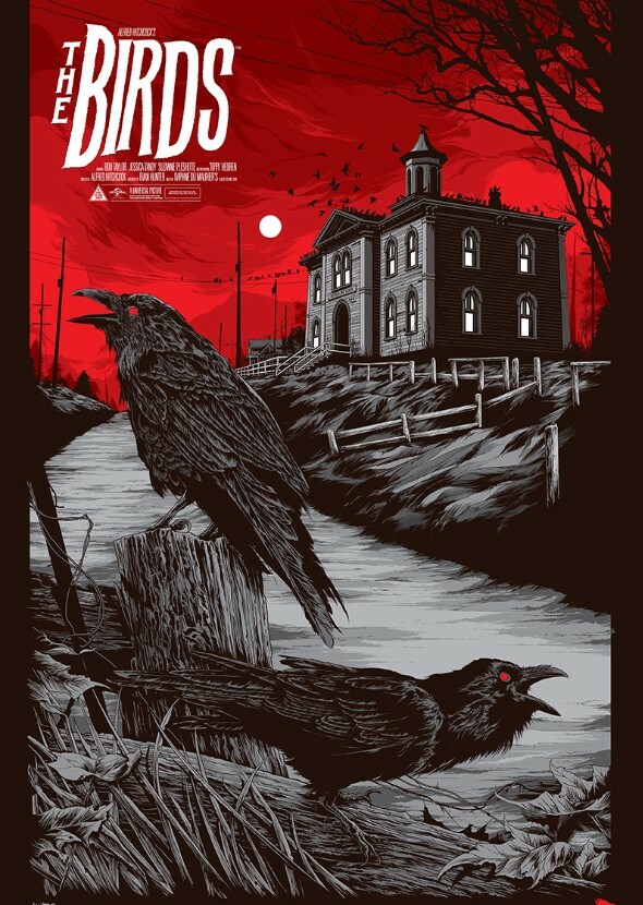 The Birds