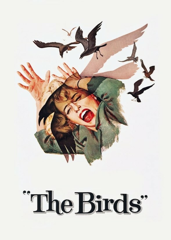 The Birds