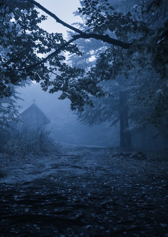 The Bridge At The End Of The Forest