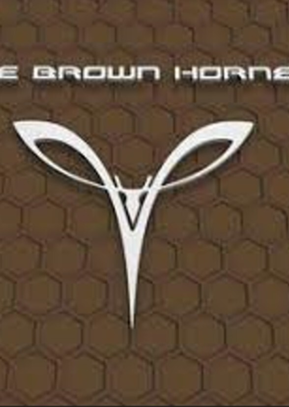 The Brown Hornet