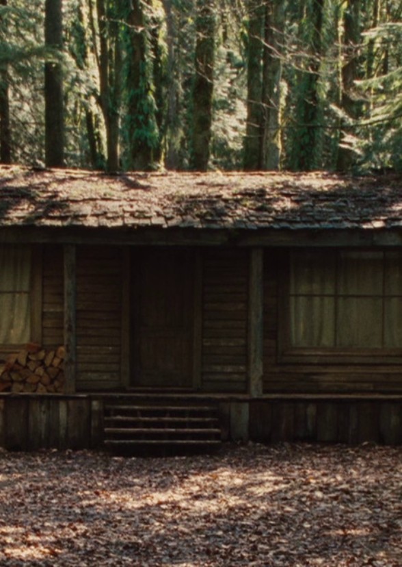 THE CABIN in the... wait, what?