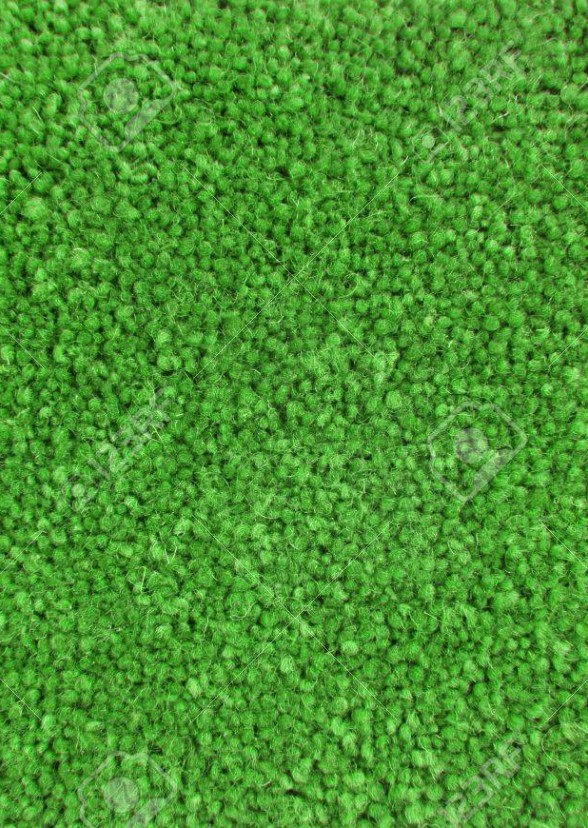 The Carpet People