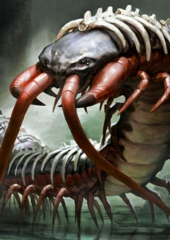 The Centipede (Short Horror Film) Fan Casting on myCast