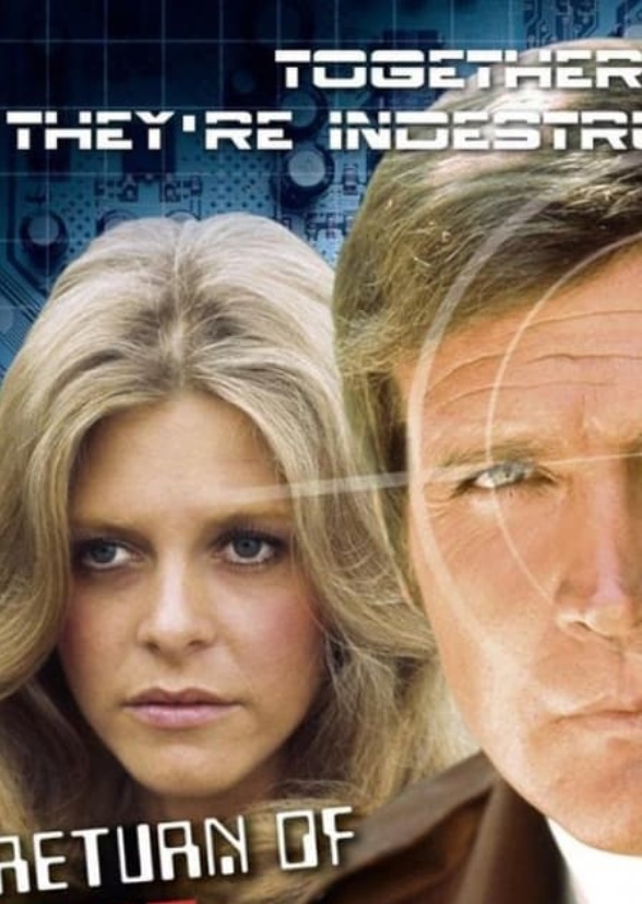 The Continuing Adventures of Steve Austin