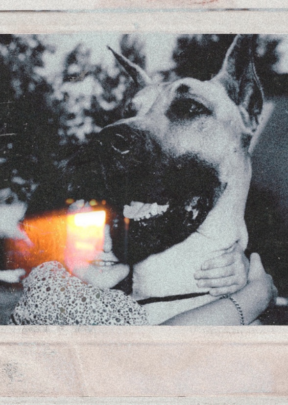 The RCU: Phase 2 (“The Merrie Melodies”) presents - A Girl and Her Dog