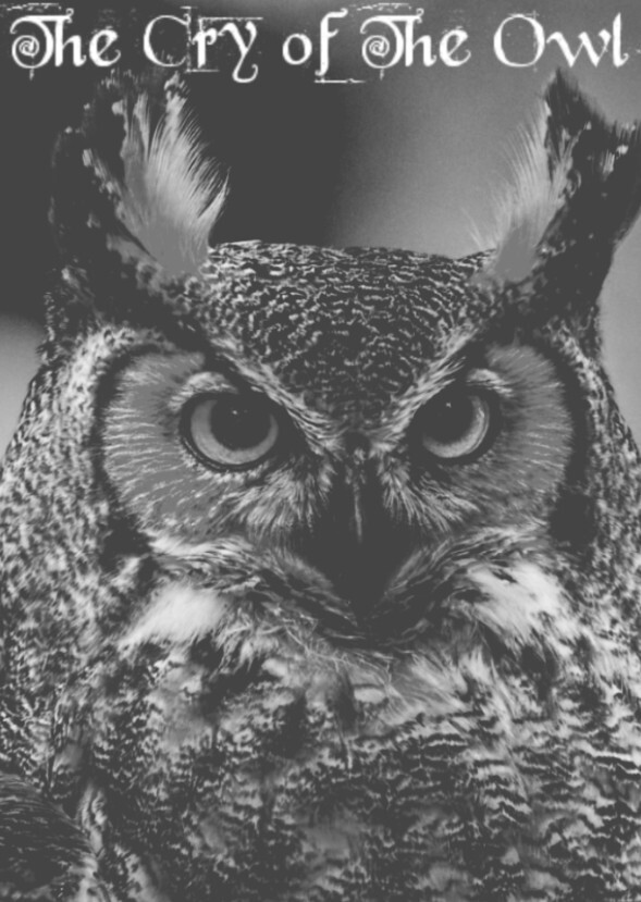 The Cry of The Owl (1970)