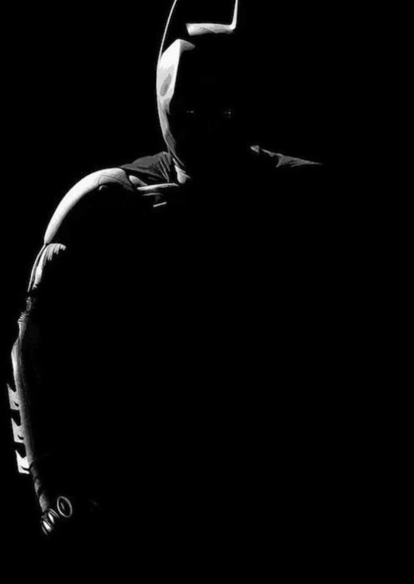 The Dark Knight Lives (2014)