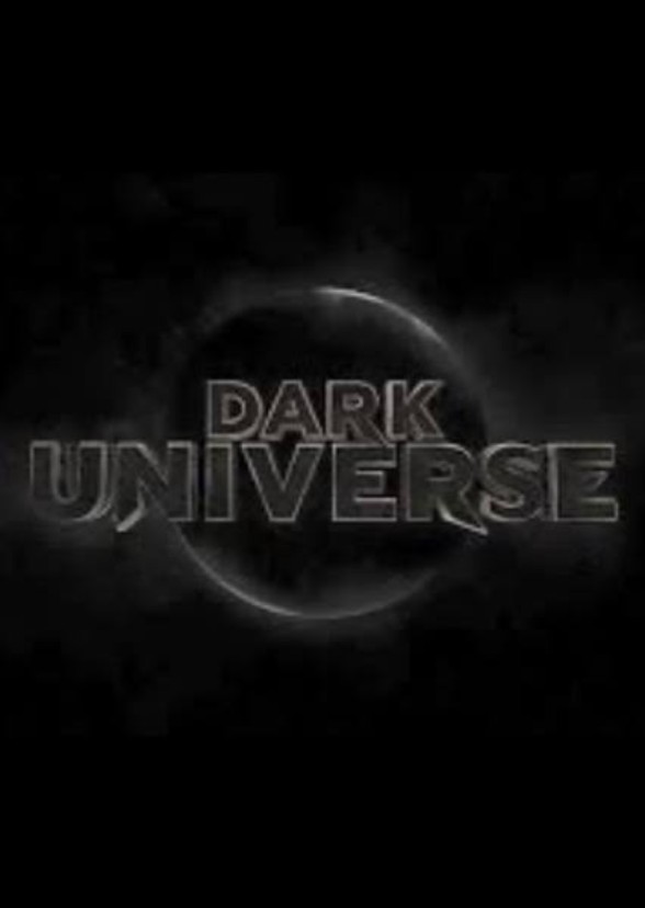 The Dark Universe 