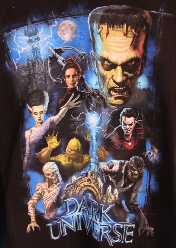 The Dark Universe