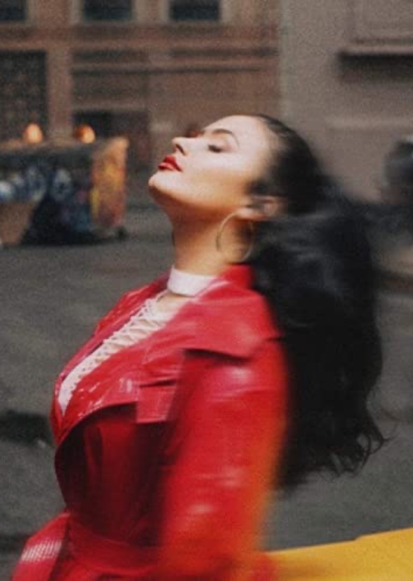 The Demi Lovato Chronicles