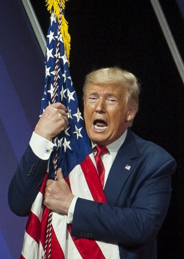 The Donald