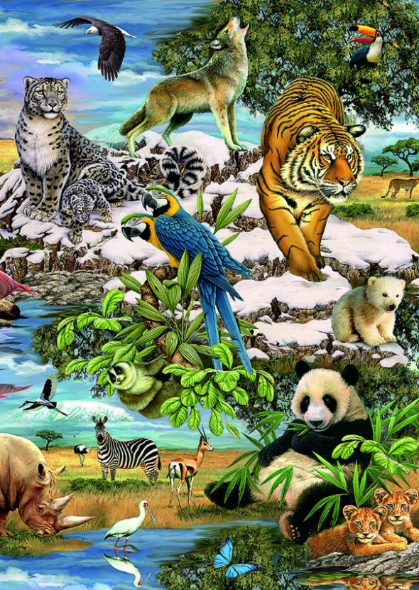 The Fascinating World of Animals