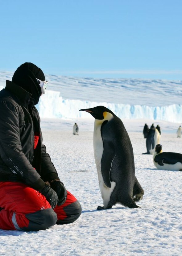 The Fictional Antarctic Animals Show