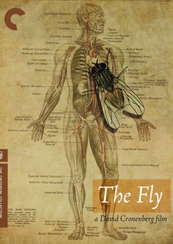 The Fly (2016)