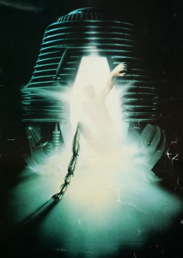 The Fly