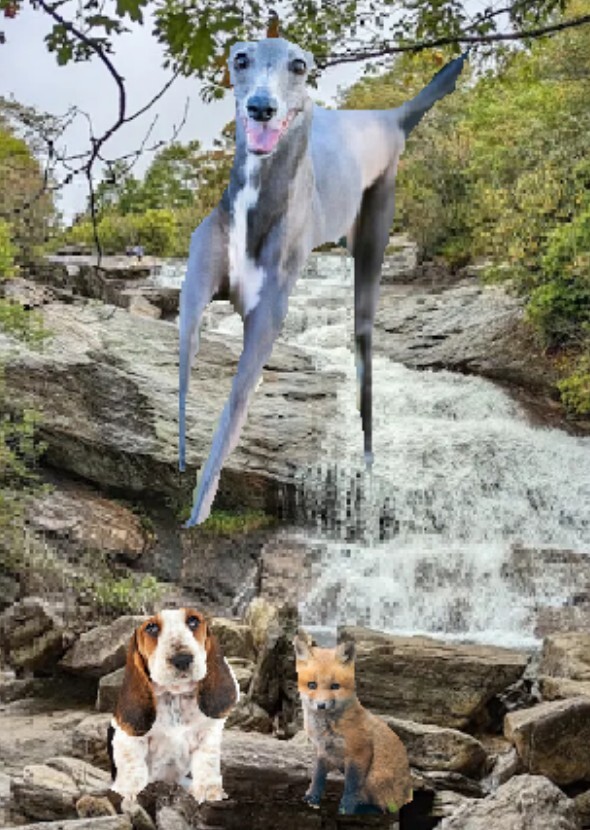 The Fox & The Hound (Live Action Remake) 2026